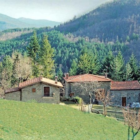 Comfortable House In Bibbiena + Pool Esterno foto