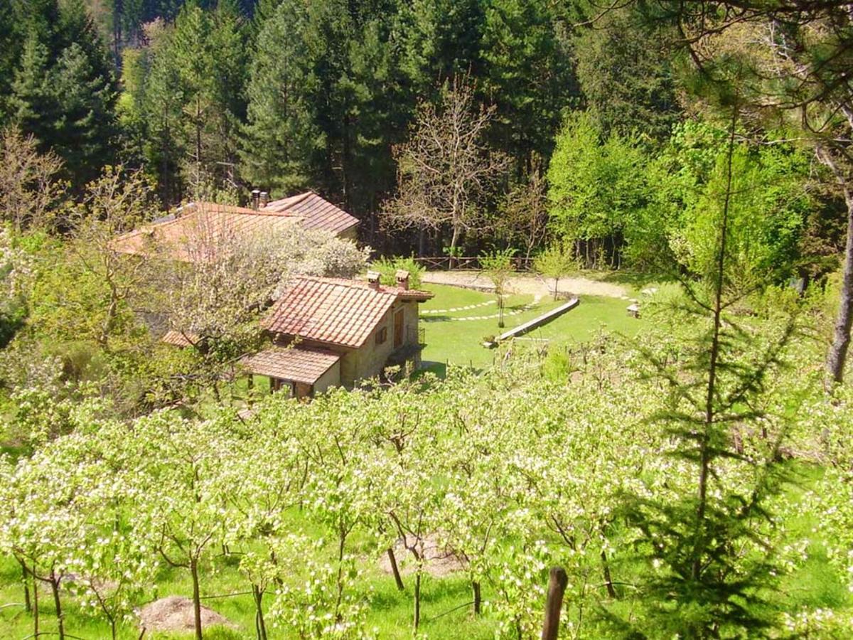 Comfortable House In Bibbiena + Pool Esterno foto