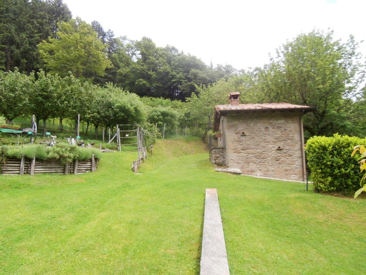 Comfortable House In Bibbiena + Pool Esterno foto