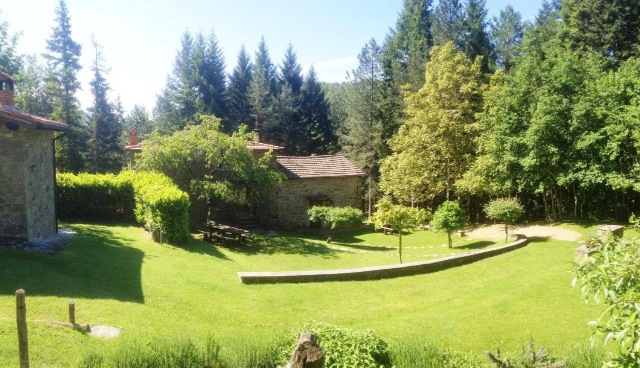 Comfortable House In Bibbiena + Pool Esterno foto