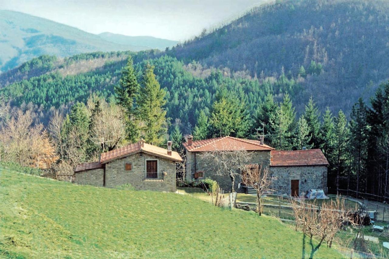 Comfortable House In Bibbiena + Pool Esterno foto